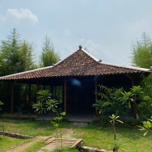 Pemakaman hewan express untuk kondisi darurat