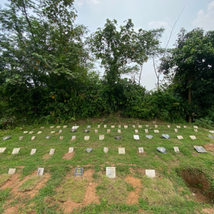 Deretan makam hewan rapi di Beloved Pet Funeral